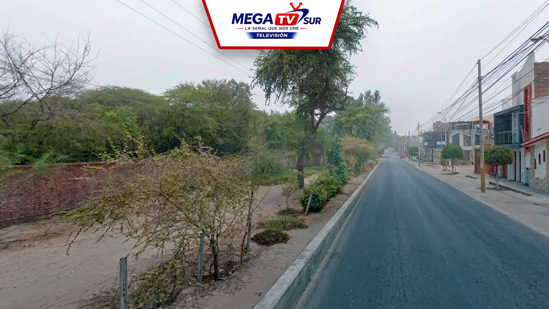 🌳 ICA | ANUNCIAN TALA DE ÁRBOLES POR OBRA DE DOBLE VÍA A HUACACHINA